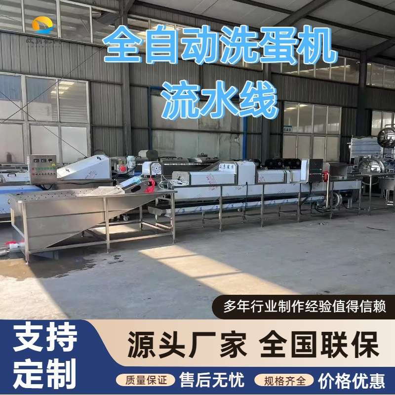 商用多功能全自动洗蛋机大型麻酱蛋清洗机鸡蛋鸭蛋清洗消毒流水线