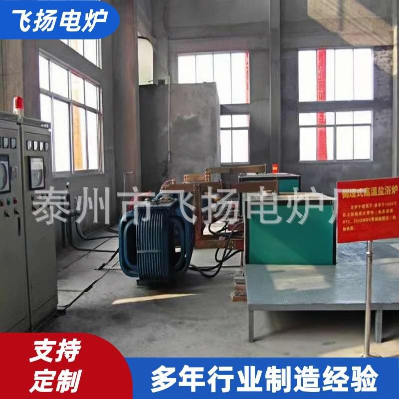 高温侧埋式电极盐浴炉 热处理埋入式电极盐浴炉