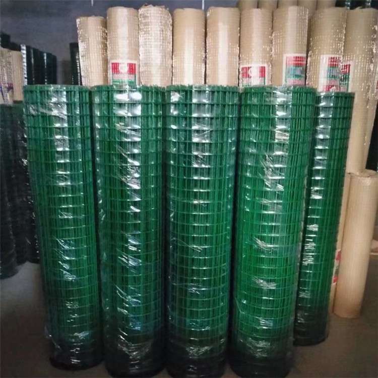 安平浸塑荷兰网 荷兰网围栏护栏网 现货供应散养土鸡围栏网