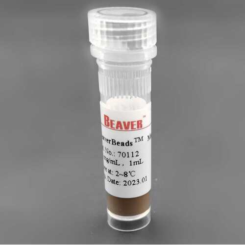 现货Beaver海狸70202-5聚合物氨基磁珠粒径2um应用方向免疫沉淀