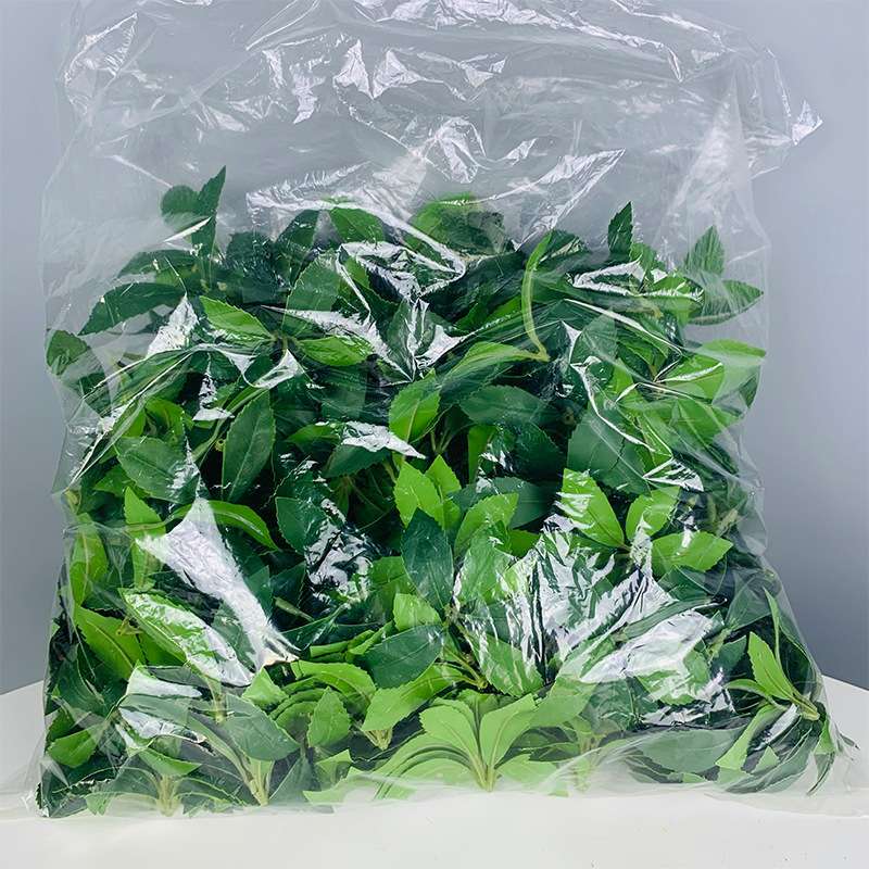 马醉木叶仿真绿植单枝巴西多瓣叶吊钟枝家居婚礼装饰绿植厂家
