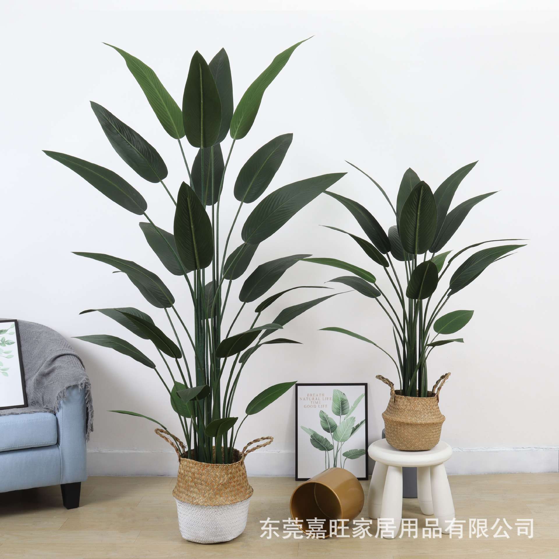 北欧网红仿真天堂鸟植物盆栽大型落地绿植室内客厅美人蕉盆景摆件