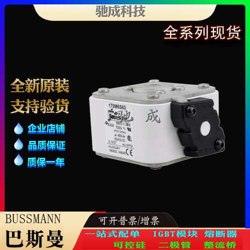 巴斯曼170M6558 170M6559 170M6560 厂价直销批零兼营 方体熔断器
