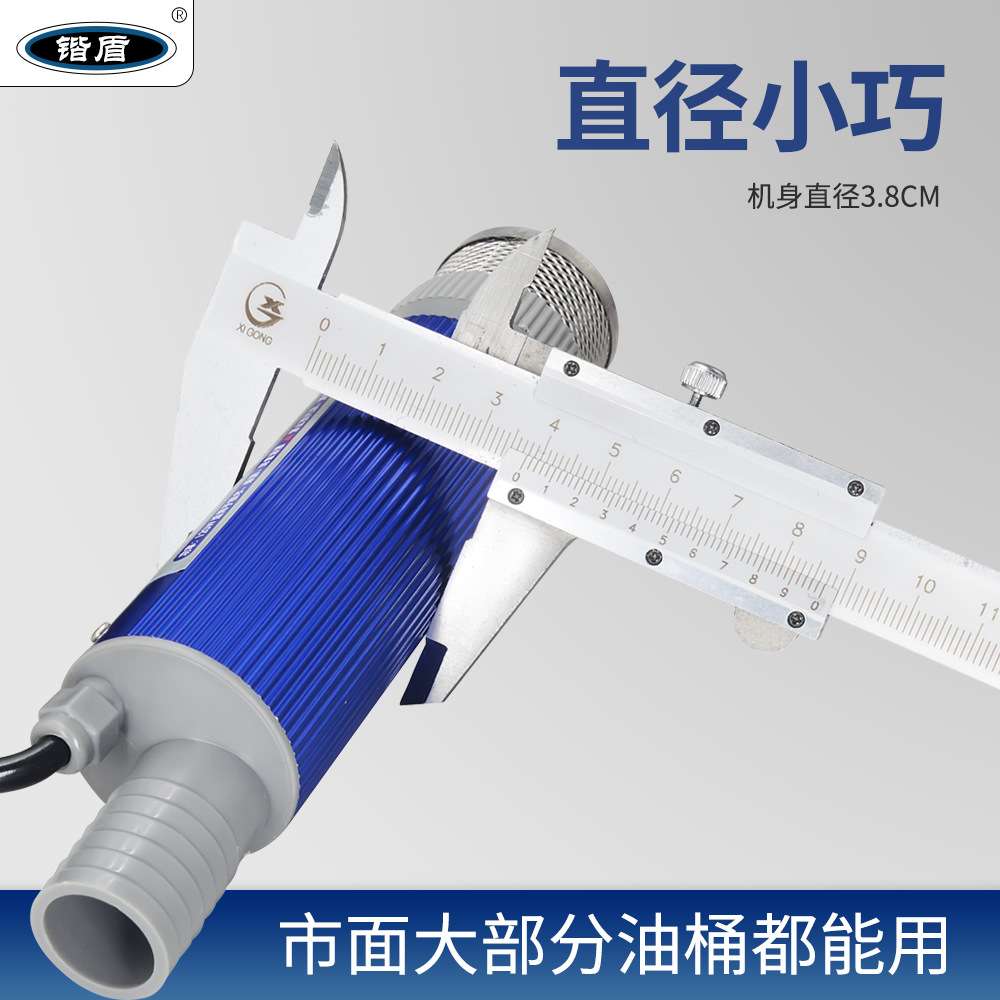 220伏新款38型迷你抽油泵套装油桶油壶12V24V倒油抽油泵套装