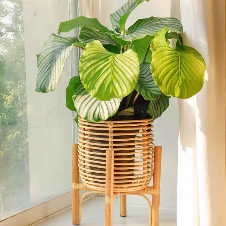 跨境北欧简约藤编花架室内客厅创意植物架阳台花园落地花盆篮架