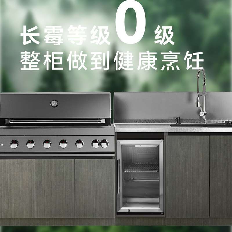 跨境304/316不锈钢橱柜开放型庭院烧烤操作台户外厨房灶台一体柜