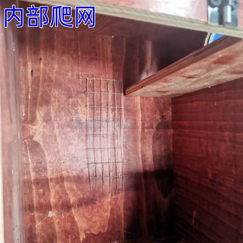 带防咬圈超大鹦鹉繁殖箱鸟窝养殖用结实耐用木头窝旋风牡丹虎皮窝
