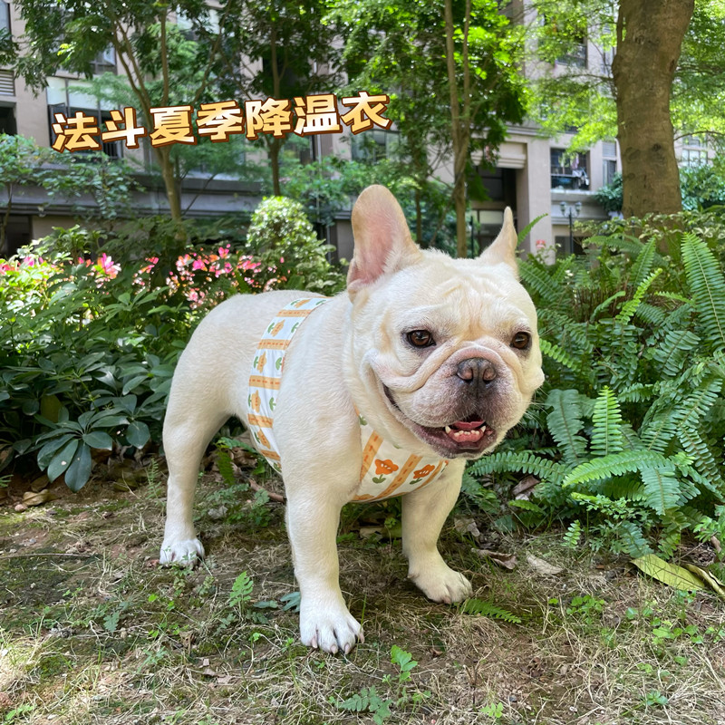 网红夏季新款法斗凉凉衣降温神器宠物冰袋巴哥防中暑狗狗降温背心
