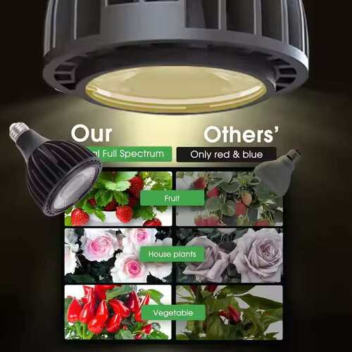 工厂直销高PAR值植物灯PAR30 20W E27全光谱多肉花卉补光灯