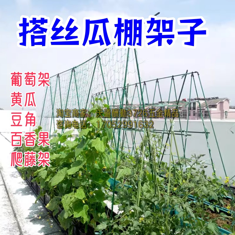 搭丝瓜棚架子豆角爬藤网架种菜苦瓜吊秧支撑杆藤蔓爬藤架葡萄图片