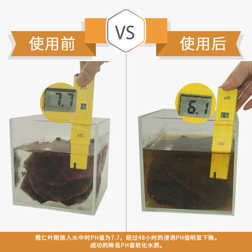 榄仁叶懒人叶斗鱼水族降低ph值鱼缸改善水质降酸天然龙眼叶揽仁叶