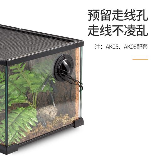 新派Reptizoo爬宠角蛙饲养箱鬃狮蜥蜴蜘蛛守宫爬虫玻璃缸雨林缸蛇