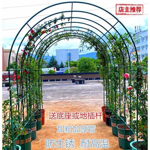 铁艺拱门花架爬藤架庭院户外鲜花拱门月季爬藤架花园爬藤架花支架