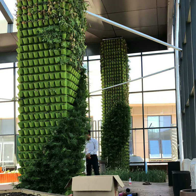 毛毡种植袋垂直绿化植物墙阳台壁挂式立体种菜神器挂墙上布袋花盆图片