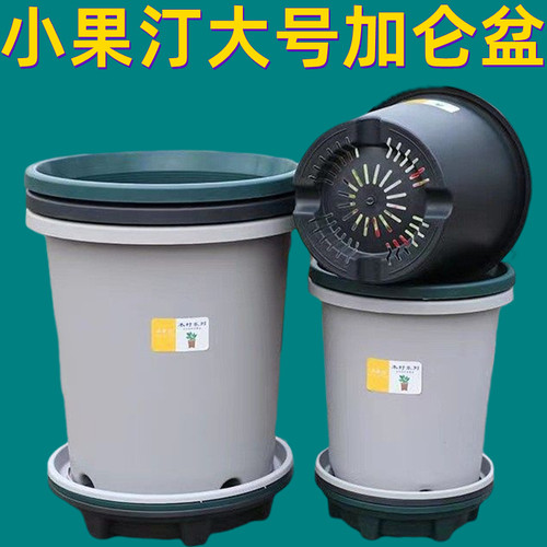小果汀5加仑6加仑7加仑加厚控根透气加仑盆爬藤月季果树大号花盆