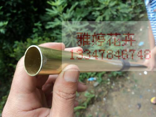 铝合金伸缩杆(高枝剪用) 3.3米杆子 配在高空剪刀头上使用铝杆伸