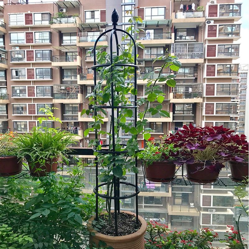 园之助爬藤架铁线莲架月季玫瑰架花盆支架阳台花卉柱形花架