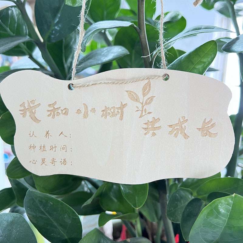 10片木质挂牌 学校植树节吊牌 树木认养牌 植物标签牌 名字卡