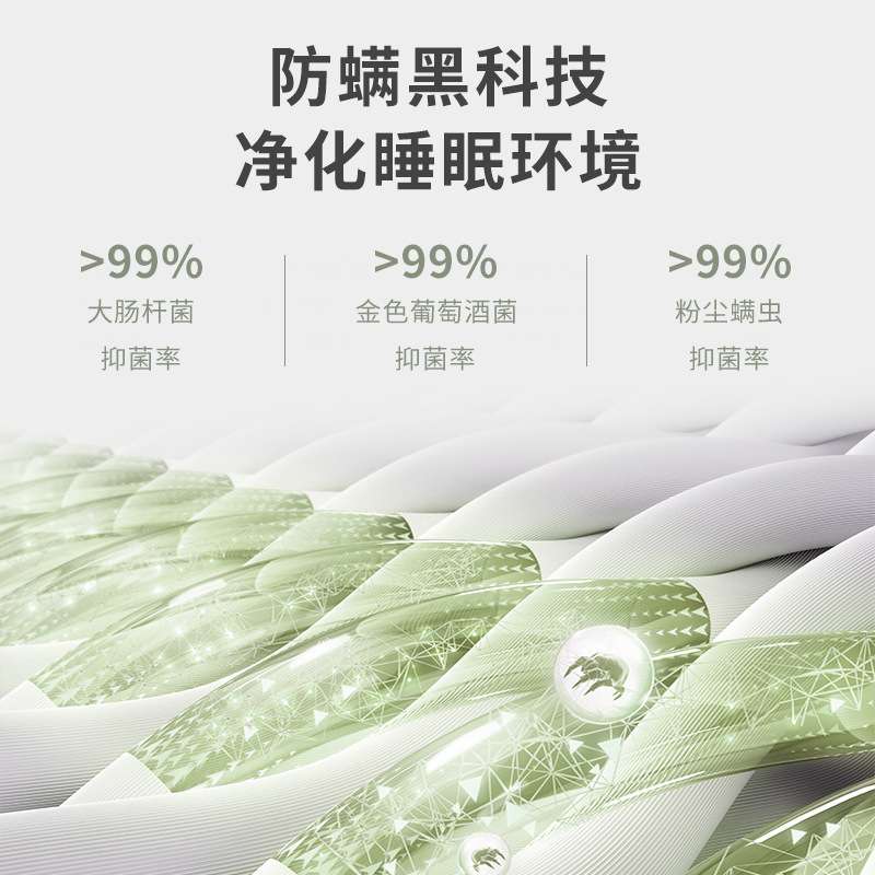 偏硬棕垫天然椰棕轻奢网红床垫席梦思弹簧双人单人儿童成人1.8米