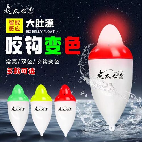 电子夜光漂咬钩爆闪大肚浮漂鱼漂浮钓鲢鳙远投海杆矶钓夜钓抛竿