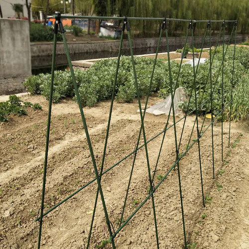 园艺花架爬藤架阳台庭院植物固定支架支撑杆黄瓜葡萄架爬藤杆牵引