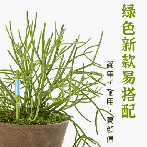 北京发货新手必用浇水神器辨别干湿土壤水分计SUSTEE水份计