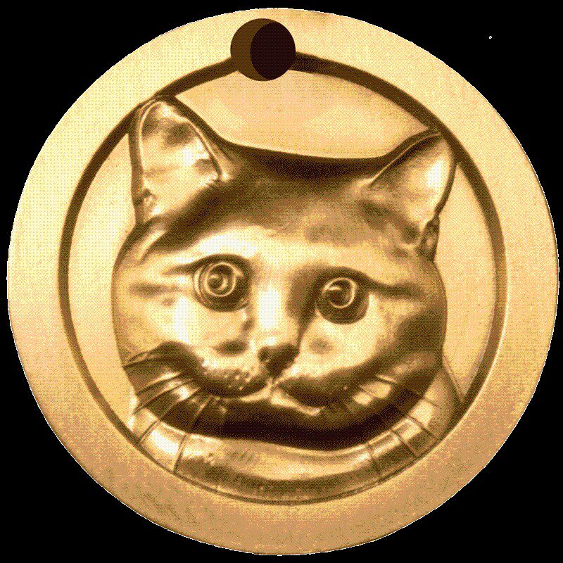 浮雕猫牌定制刻字防丢狗牌铃铛项链英短加菲蓝猫黄铜猫咪身份牌