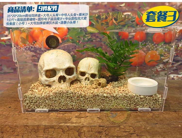 爬虫红火玫瑰蜘蛛亚克力饲养箱盒雨林蝎守宫蜈蚣宠物玉米蛇352020