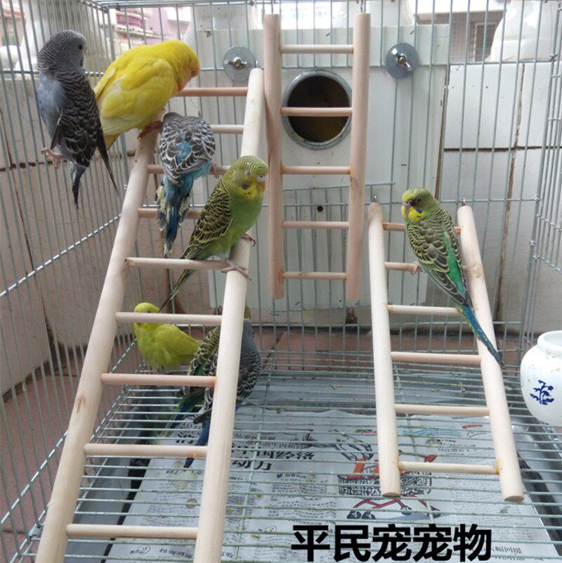 鹦鹉鸟类用品用具 鸟笼攀爬玩具木梯子 实木云梯站杠站架鸟梯架子