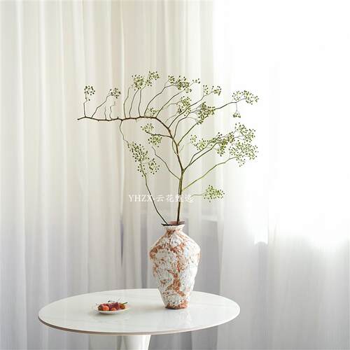 【云花甄选】山归来可做干花绿色花期长云南直发瓶插家庭水养空运
