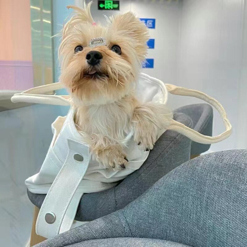 猫包手提外出可携式小型犬宠物大容量猫袋笼子帆布狗背包猫咪用品