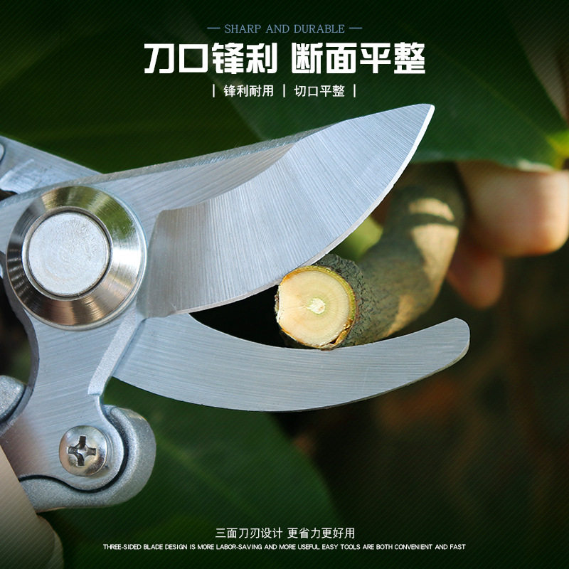 强力树枝剪不锈钢园林剪刀果树粗枝剪园艺修花盆景修枝剪花艺工具
