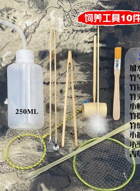 蛐蛐蟋蟀网罩水壶油葫芦黑白虫饲养毛刷斗草提笼铲勺鸣虫爬虫用品