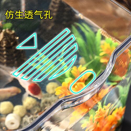 六角恐龙鱼缸高透明塑料一体成型防爆超亚克力乌龟螃蟹专用饲养箱