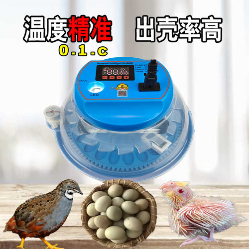 鸟鹦鹉孵化器小型家用孵化箱机玄凤牡丹鹌鹑鸽子虎皮智能恒温专用