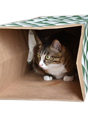 领养之家/伴诺宠物玩具猫咪用品猫玩具猫咪通道隧道自嗨纸猫屋