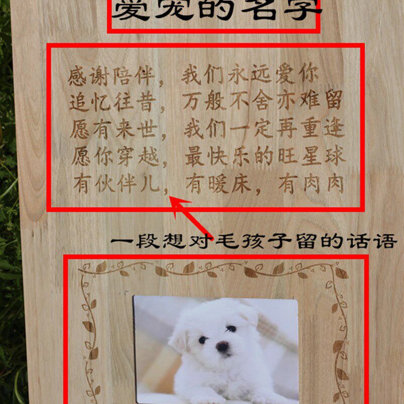 宠物棺材宠物安乐窝猫咪棺材狗狗棺材爱宠土葬木箱猫狗去世小棺材