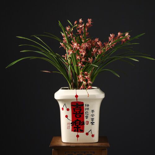陶瓷花盆轻奢高级感手绘新中式冬青兰花春羽龟背竹特大号方口花盆