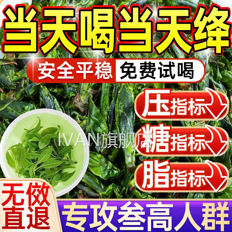 小叶苦丁茶2026正宗高山新茶方功效特级嫩芽苦茶正品野生官旗舰店