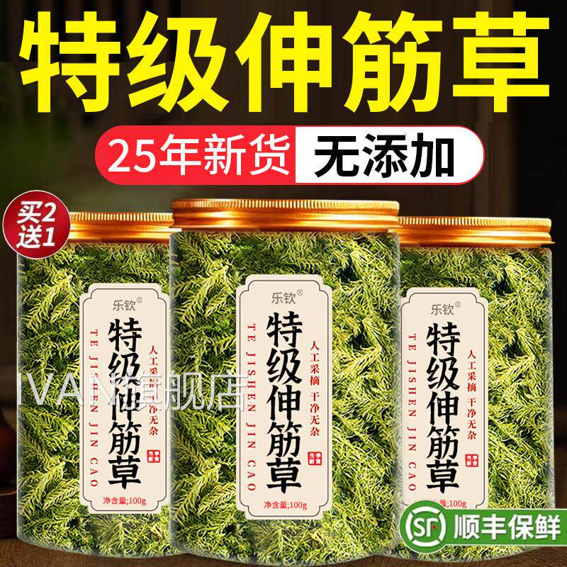 特级伸筋草中药材正品生旗舰店野小伸筋草中药透骨草正品zzIVAN旗