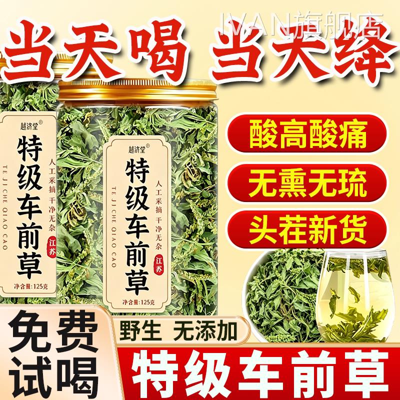 车前草野生新干货官方旗鲜舰店中药材泡水喝的功效与作用无痛茶降
