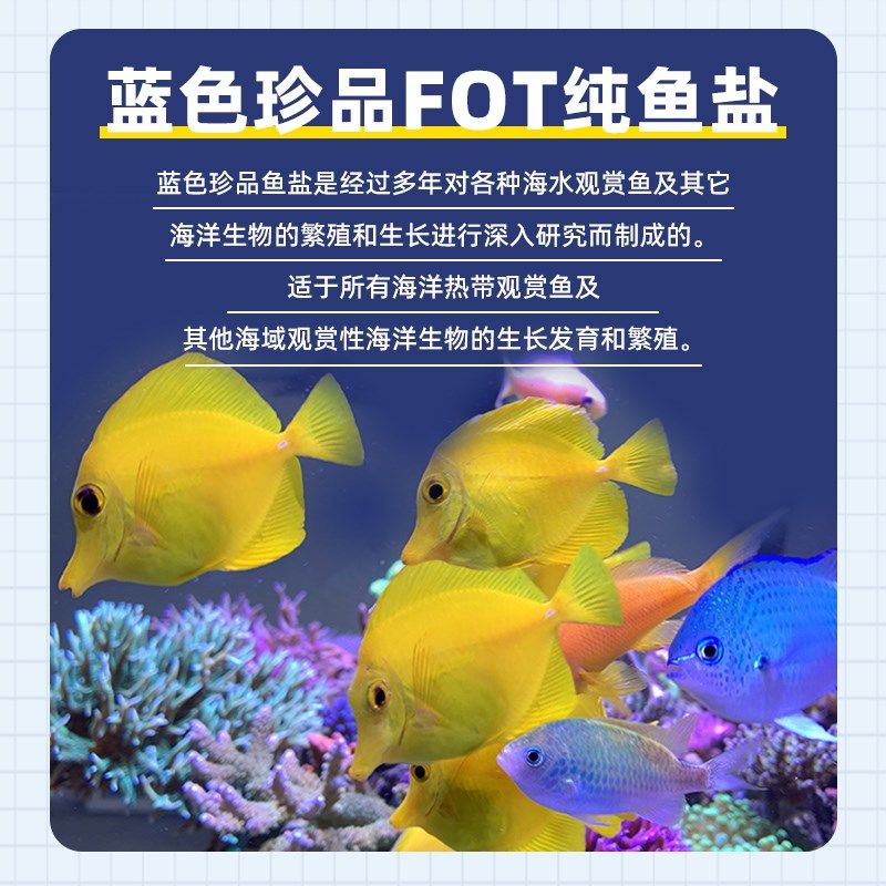 蓝色珍品海盐软体硬骨珊瑚盐海水鱼缸专用盐水族观赏鱼真品海鱼盐
