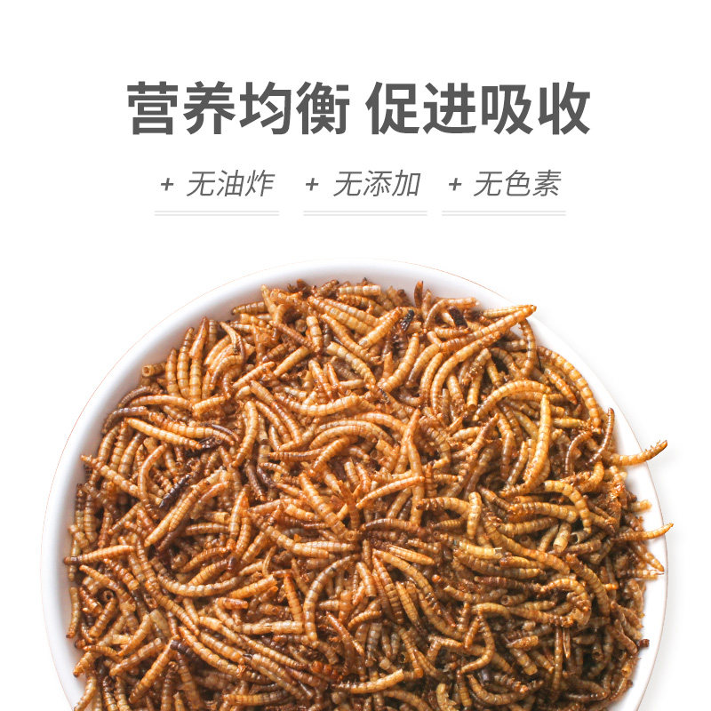 面包虫干芦丁鸡宠物专用饲料鹦鹉饲料鸟粮卢鸟食八哥鹩哥画眉零食图片