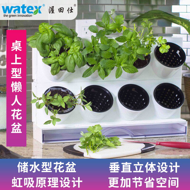 新款自动吸水懒人花盆种菜神器家庭阳台长方形种植箱室内多肉花盆