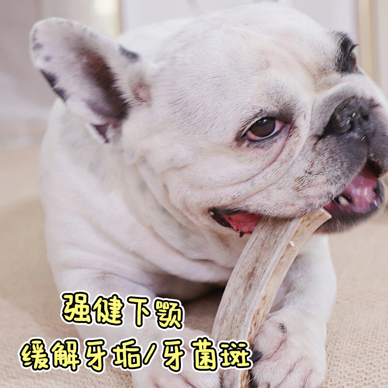 Red Bones红骨鹿角磨牙棒洁齿耐咬狗狗零食法斗比熊柯基磨牙