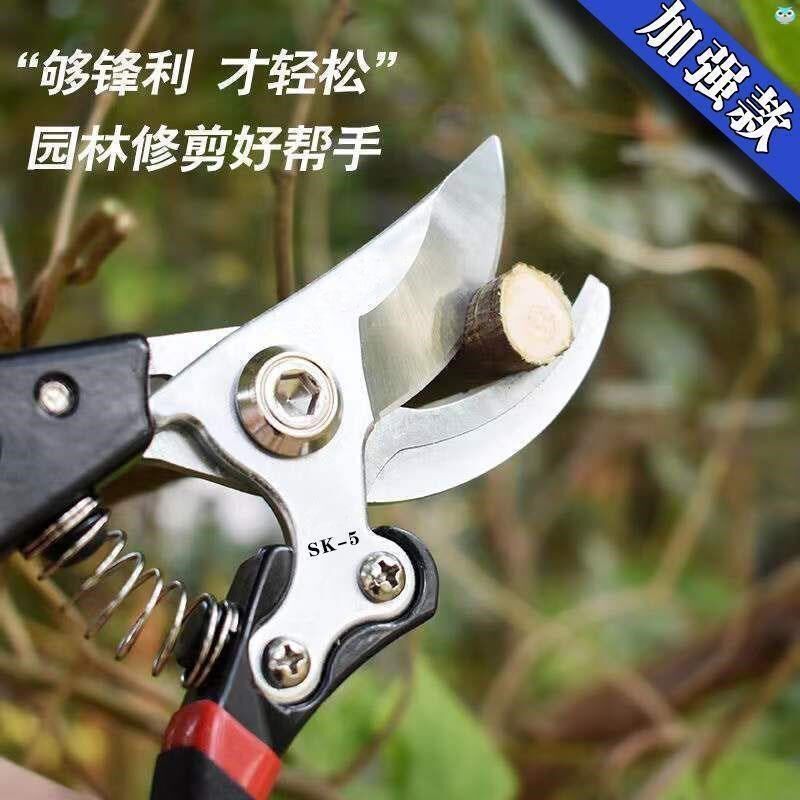 新款精工剪树枝专用剪刀园艺果树修枝剪sk5粗枝修花省力剪子园林图片