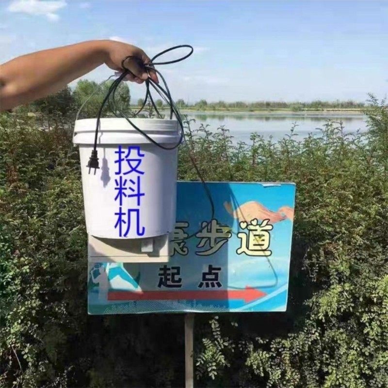自动鱼苗粉料投料机泥鳅花鲢鲈鱼大头黄颡鱼塘投饵料机饲料投料桶