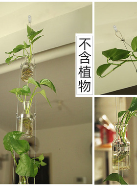 创意轻奢玻璃水培花瓶绿植隔断家居幼儿园植物风铃墙上装饰品挂件