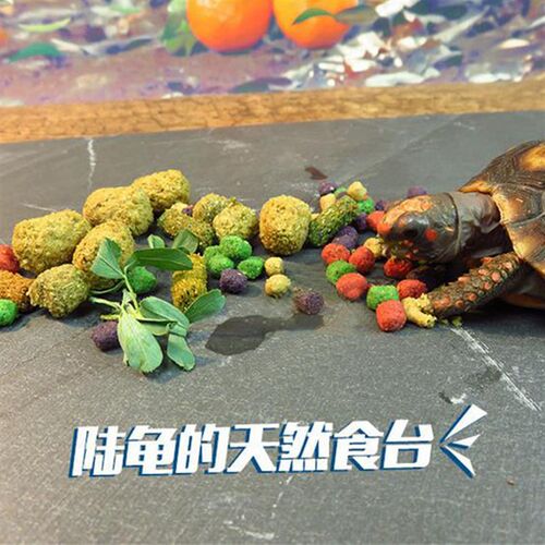 爬虫陆龟石板磨指甲食盆晒台饲养箱木箱造景垫材交配石板岩石板