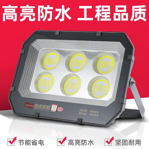 国虎led投光灯户外防水超亮室外亮化照明50w100w200300400w庭院灯